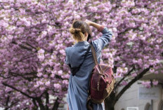 Mengungkap Rahasia dari Ekstrak Bunga Sakura yang Bikin Wajah Cerah Alami