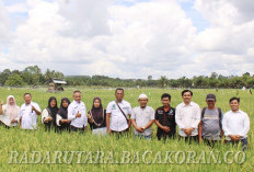 Fenomena Baru di Pinang Raya, Hamparan Sawah Gunung Payung Jadi Magnet Wisata 