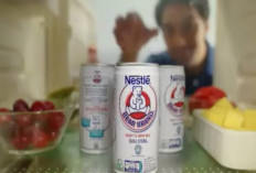 Terungkap! Ini Alasan Kenapa Bear Brand Susu Sapi, Pakai Logo Beruang