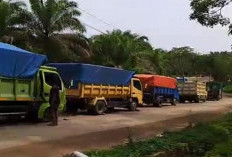 Selain Diminta Duit, Sopir Juga Dikejar, Pengiriman BBM Macet, Steven: Aparat dan Pemerintah Harus Tegas