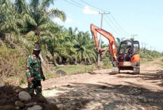 Pekerjaan Jalan TMMD Kodim 0428/MM di Sumber Makmur Mulai Tahap Pengoralan