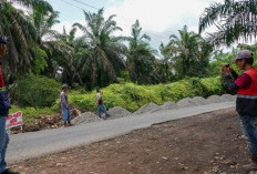 Hingga 2024, 70 Persen Ruas Jalan Provinsi Diklaim Tertangani 