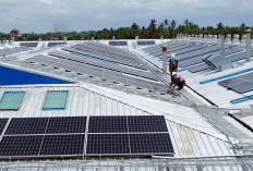 Kementerian ESDM: Sebanyak 10.882 Pelanggan PLN Nikmati Aliran Listrik PLTS Atap