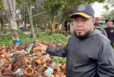 Pantai Panjang Ditargetkan Jadi Pantai Terindah di Dunia