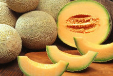 Harus Tahu! Ini Segudang Manfaat Melon Bagi Kesehatan Tubuh