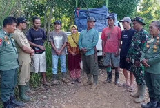 Harimau Betina Masuk Perangkap, Dievakuasi Oleh BKSDA ke Bengkulu