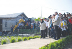 Swasembada Pangan Terjaga, Stok Beras Aceh Aman hingga Enam Bulan