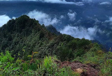 Danau Ciharus dan Gunung Rakutak: Destinasi Mistis di Jawa Barat yang Terkait Legenda Makhluk Aul