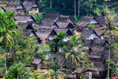 Lebih dari Wisata, Inilah Keunikan dan Adat Istiadat Kampung Miduana yang Wajib Diketahui