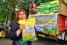 Pemerintah Godok Beras SPHP Satu Harga Rp11.000 per Kg dari Sabang sampai Merauke