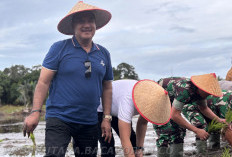 Kunker ke Pullau Terluar, Ketua DPRD BU Semakin Optimisi Bengkulu Utara Mampu Swasembada Pangan