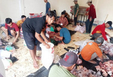 Di Masjid Baiturrahman Lubuk Sanai 3 Panitia Sembelihan 15 Ekor Hewan Kurban