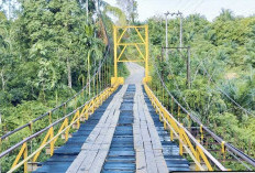 Pemkab Mukomuko Perbaiki Sejumlah Jembatan, Tingkatkan Keselamatan dan Dukung Ekonomi Warga
