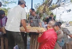 Lagi, Satpol PP Mukomuko Tertibkan Pedagang di Bundaran Kota