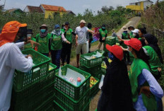 Saatnya Bergerak Selamatkan Sisa Pangan