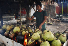 5 Manfaat Kelapa Bakar Untuk Kesehatan