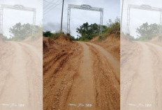 PU Kabupaten dan Provinsi Tinjau Jalan Trans Lapindo, TA 2026 Bakal Dibangun 2,3 Km 