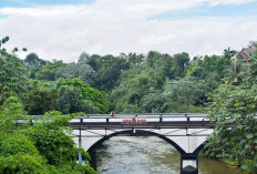 Jembatan Panus yang Dipenuhi Mistis di Depok, Jejak Penjajahan Bangsa Belanda