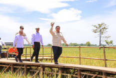 Mayoritas Warga Puas atas Kinerja Presiden Prabowo