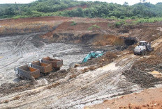 Dugaan Pelanggaran Tambang Batubara, Ini DBH Minerba Provinsi Bengkulu