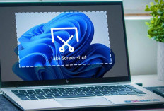 Kenali ! Ini Terdapat 11 Cara Praktis Screenshot, Melalui Komputer Dan Laptop