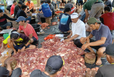 Jangan Sampai Kebanyakan! Ini Anjuran Konsumsi Daging Kurban Dan Minuman Penyetirilnya
