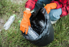 Tingkatkan Kualitas Hidup dengan 5 Langkah Sederhana Ini, No. 3 Pasti Bikin Kamu Terkejut!