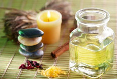 Kalian Wajib Tahu Efek Samping Serta Manfaat Kesehatan dari Minyak Kayu Putih 