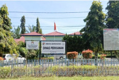 Sisir Nelayan di Mukomuko, Dinas Perikanan Jemput Bola Data Kusuka