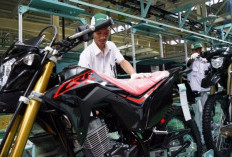 Bongkar Rahasia Suspensi SFF Honda CRF150L Yang Tangguh di Berbagai Medan