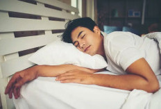 Study Menunjukkan Bahwa Lebih dari 60% Mahasiswa Memiliki Kualitas Tidur yang Buruk, Apa Penyebabnya?