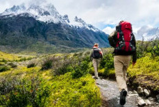 Penghobi Tantangan? Kenali Makna Mimpi Mendaki Gunung Bersama Teman Tidak Sampai Puncak