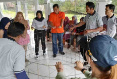  Budidaya Lele, Sujono: Jadi Usaha Berkelanjutan