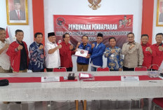 Menuju Pilgub Bengkulu, Helmi Hasan Daftar ke PDI Perjuangan