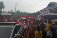 Kemeriahan HUT RI KE-79, Pemerintah Kecamatan TAP Gelar Pawai Karnaval