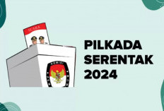 Rekrut Ulang Badan Adhoc Untuk Pilkada 2024 Termasuk KPPS