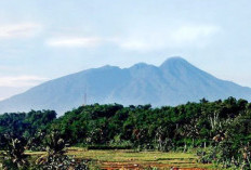 Misteri Gunung Halimum