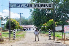 Desak PT Air Muring Realisasikan Lahan Kas Desa dan Kebun Masyarakat