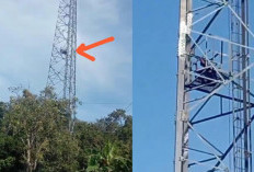 BREAKING NEWS, Aksi Nekat Panjat Tower di Bukit Makmur, Pemuda Ini Diduga Hendak Bertemu Malaikat Maut