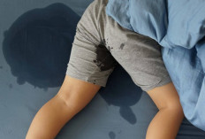 Mimpi Basah Pertanda Apa? Berikut 8 Langkah Cara Mandi Wajib, Lengkap Beserta Niat