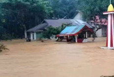 Banjir Rendam Belasan Rumah di Tanjung Harapan, Warga Siaga