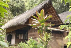 Menguak Pesan Spiritual Rumah Adat Cikondang : Sejarah, Simbol Islam hingga Hutan Keramat di Jawa Barat