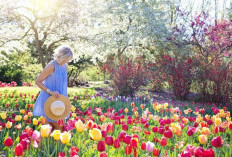 Melambangkan Keindahan, Melihat Makna Mimpi Berada di Taman Bunga