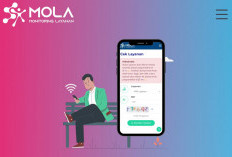 Honorer Bisa Cek Status NIP PPPK Paruh Waktu Secara Online, Begini Caranya