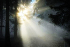 Mimpi Melihat Cahaya Putih: Makna Spiritual dan Pertanda Baik Menurut Islam