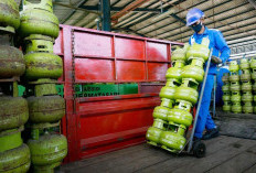 Penyaluran BBM dan LPG Diklaim Tumbuh Stabil, Layanan Energi Dipastikan Optimal