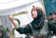 Ekstrem dan Mistis! 'Pencak Ular' dari Garut Jadi Atraksi Langka di Jabar