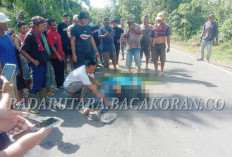 Boris Terlibat Laka, Warga Asal Desa Air Putih Ini MD, Begini Kronologisnya