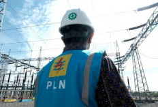 Pastikan Listrik Bersih, Pemerintah Bangun Transmisi Puluhan Ribu Kms