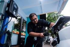 Transisi Energi Sektor Transportasi: Dari Biofuel hingga Kendaraan Listrik
